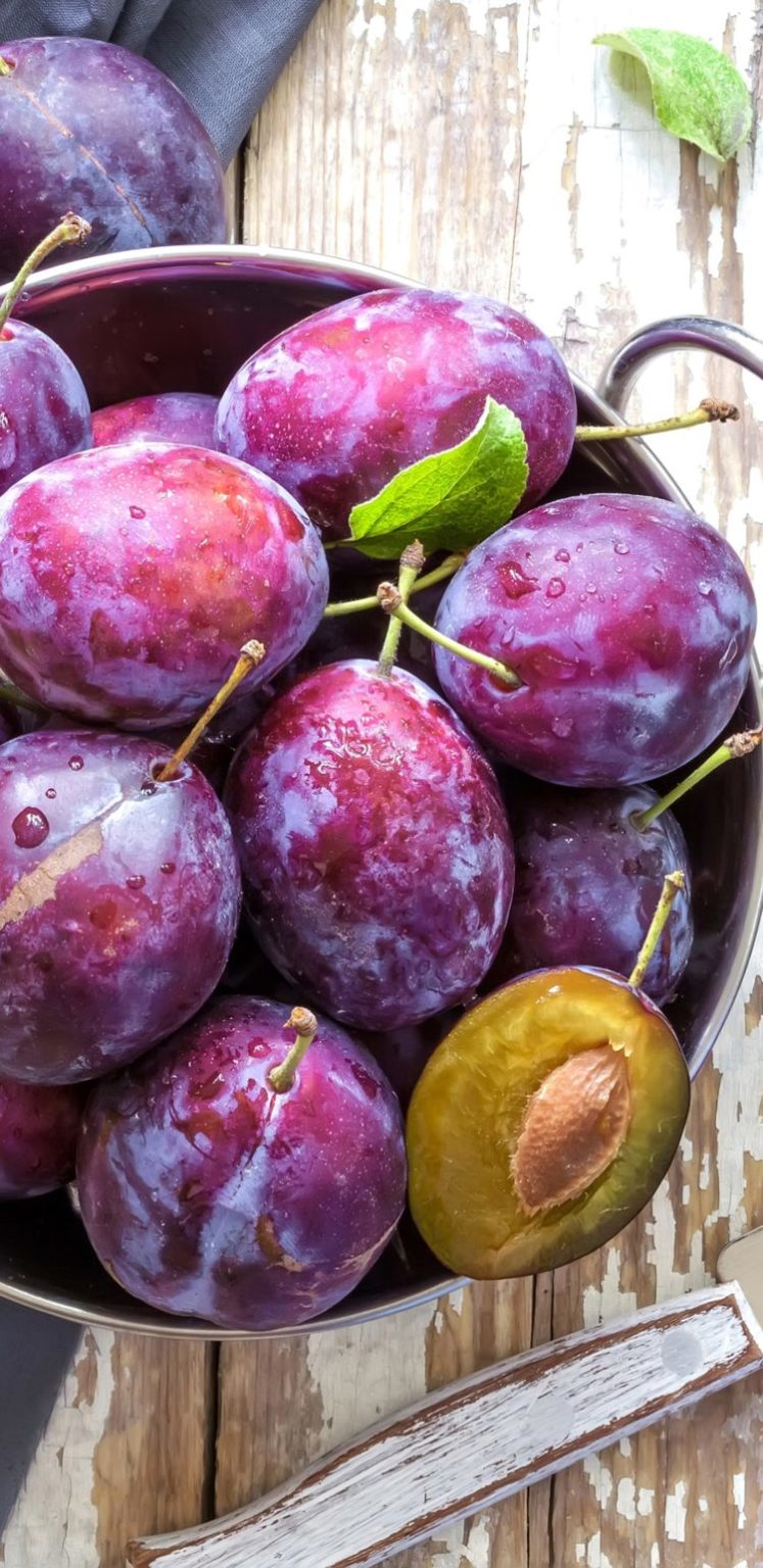 60+ Gambar Buah-buahan (APEL, MANGGA, JERUK dll - LENGKAP)