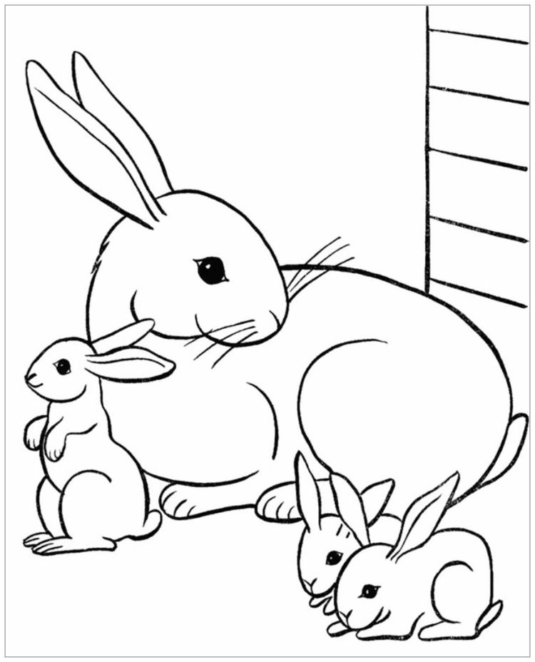 gambar kelinci untuk mewarnai anak tk