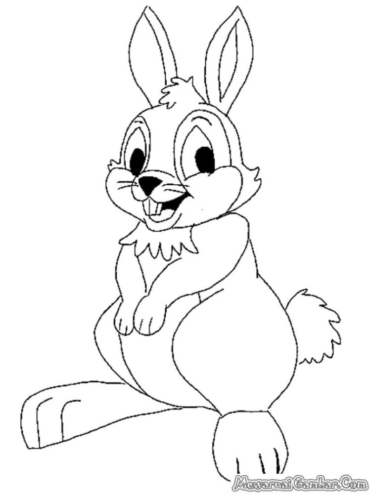 gambar kelinci untuk anak paud