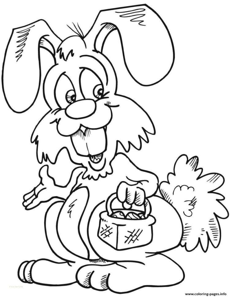 gambar kelinci versi kartun