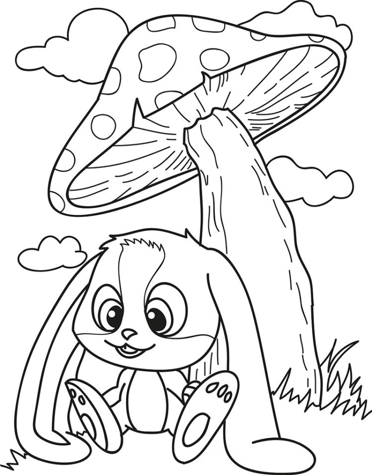 gambar kelinci wortel