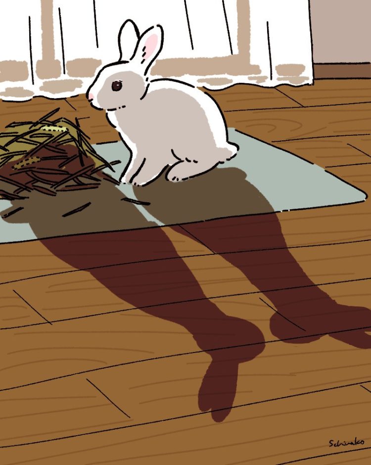 gambar animasi kelinci 3d