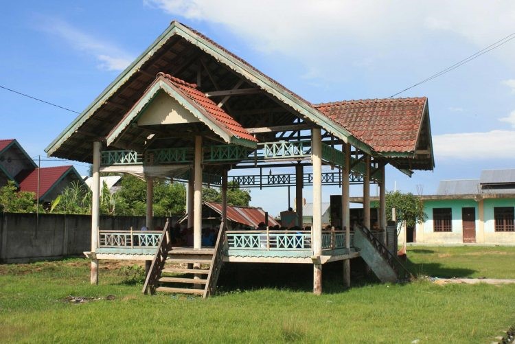 rumah adat sumatera selatan