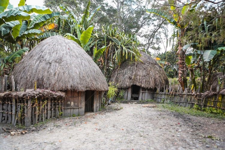rumah adat sulawesi selatan