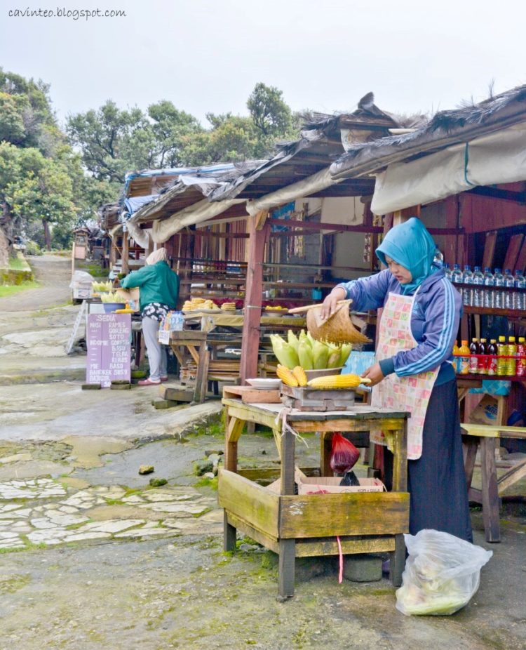 tangkuban perahu harga masuk