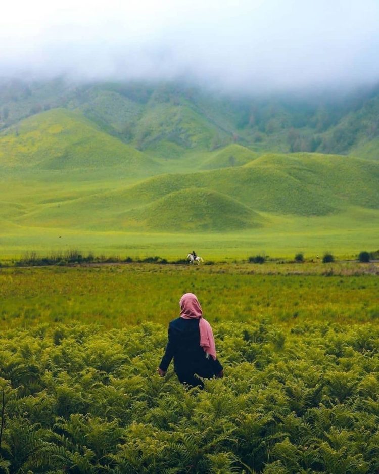 gunung bromo level 17